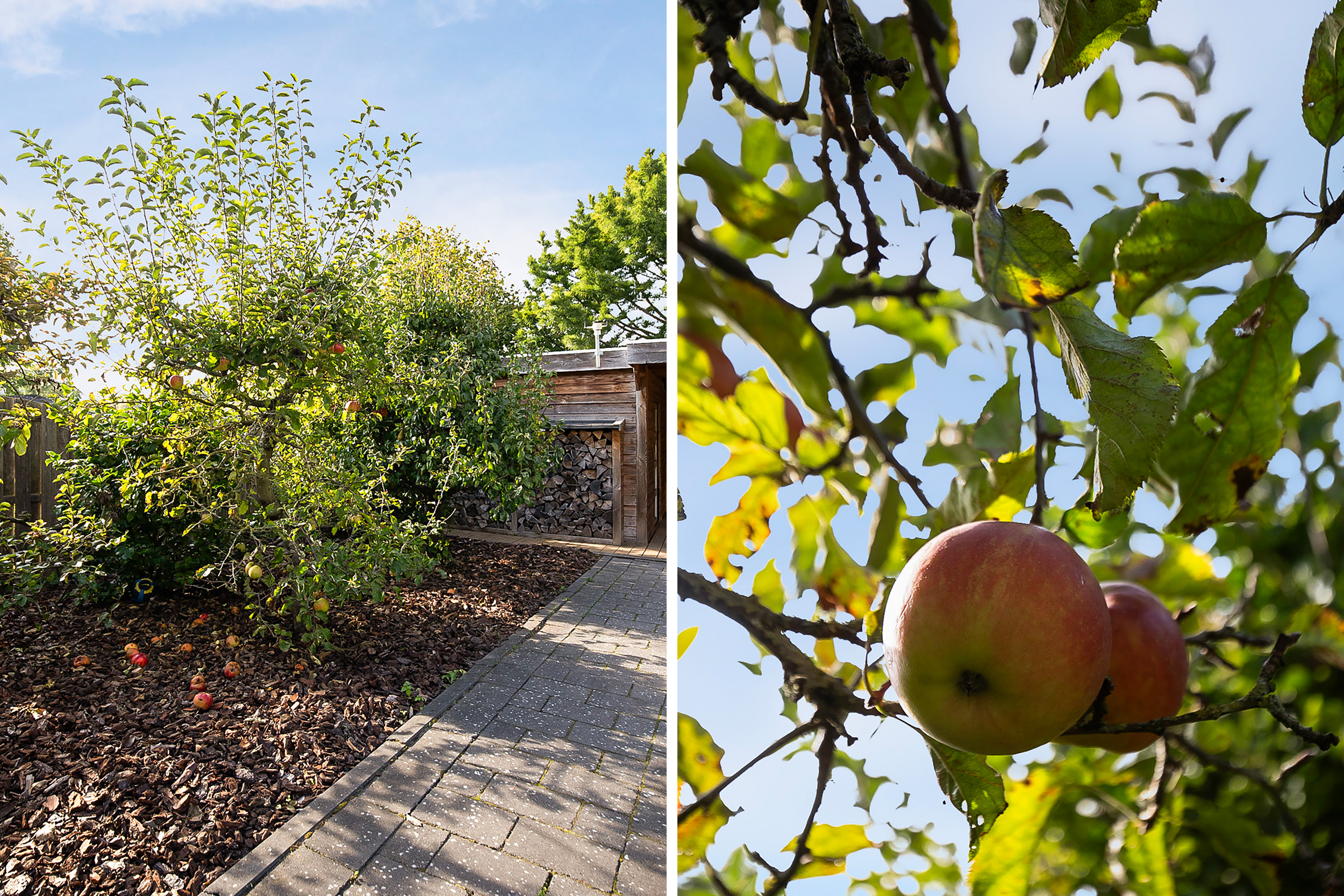 Hoofdweg 1129 , 2152 LK Nieuw-vennep 62